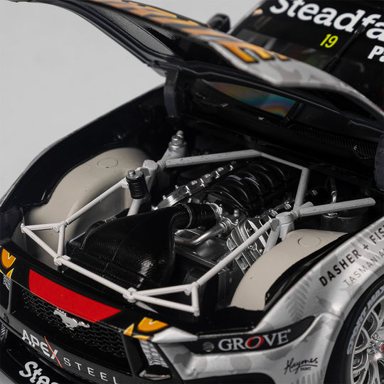 1:18 Penrite Racing #19 Ford Mustang GT - 2024 ITM Taupo Super400 Native Livery